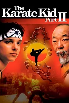 Descargar El Karate Kid 2 1080p Latino
